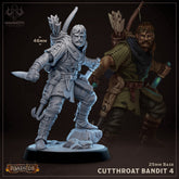 Cutthroat Bandits 3D-printed model